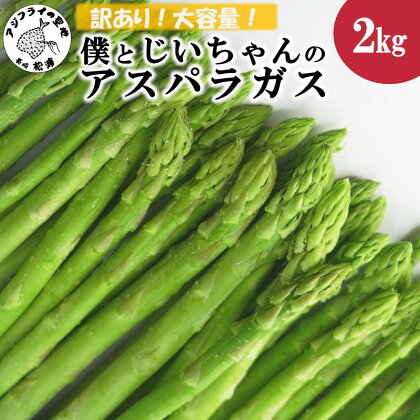 訳ありご家庭用に大活躍！僕とじいちゃんのアスパラガス2kg【B0-160】野菜 アスパラガス グリーンアスパラ 朝採れ 新鮮 訳あり 大容量 家庭用 九州 松浦市