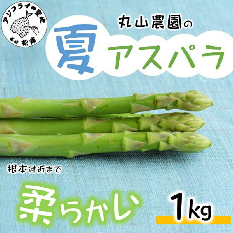 【ふるさと納税】丸山農園の夏アスパラ1kg【B0-162】アスパラガス アスパラ 野菜 夏野菜 やわらかい 手軽 松浦市