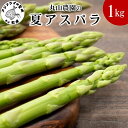 19位! 口コミ数「1件」評価「5」丸山農園の夏アスパラ1kg【B0-162】アスパラガス アスパラ 野菜 夏野菜 やわらかい 手軽 松浦市