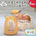 19位! 口コミ数「60件」評価「4.57」《父の日》たまごやさんのぷるプリン 6個入(濃厚仕立て)【A9-012】 プリン 濃厚 カスタードプリン スイーツ おやつ デザート洋菓子 ･･･ 