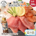 【ふるさと納税】《父の日》海鮮丼のたれ付！海鮮三昧贅沢3色丼セット 100g×3パック【B0-158】 海鮮 ふるさと納税 海鮮丼 ふるさと納税 刺身 刺身セット マグロ 鮪 真鯛 タイ たい 鮭 サーモン 切り落とし セット カルパッチョ 簡単調理 ギフト プレゼント 贈り物 父の日