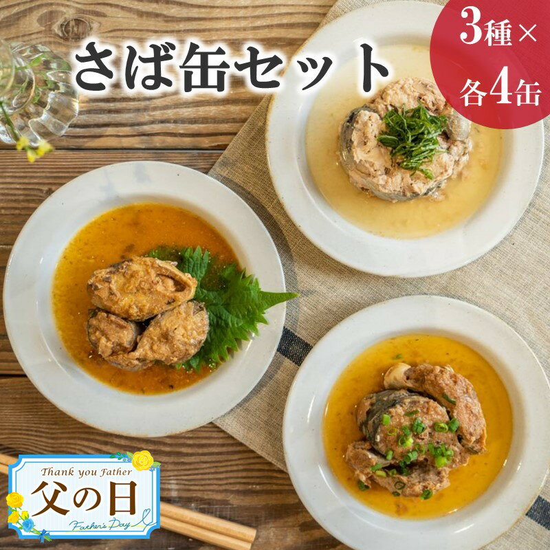 6位! 口コミ数「20件」評価「4.9」《父の日》さば缶セット(3種×各4缶)【B2-107】 ふるさと納税 サバ缶 ふるさと納税 缶詰 鯖缶 サバ 鯖 水煮 味噌煮 醤油煮 長期･･･ 