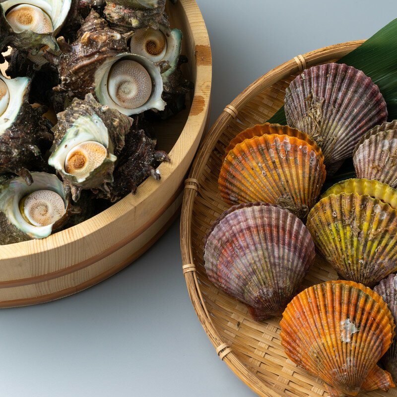 身がひきしまったサザエとヒオウギ貝のセット 食感や磯の香り 濃厚な味をどうぞお楽しみください 送料無料 超大特価 貝 貝類 海鮮 ヒオウギセット サザエ A 194 魚介 対馬近海さざえ バーベキュー