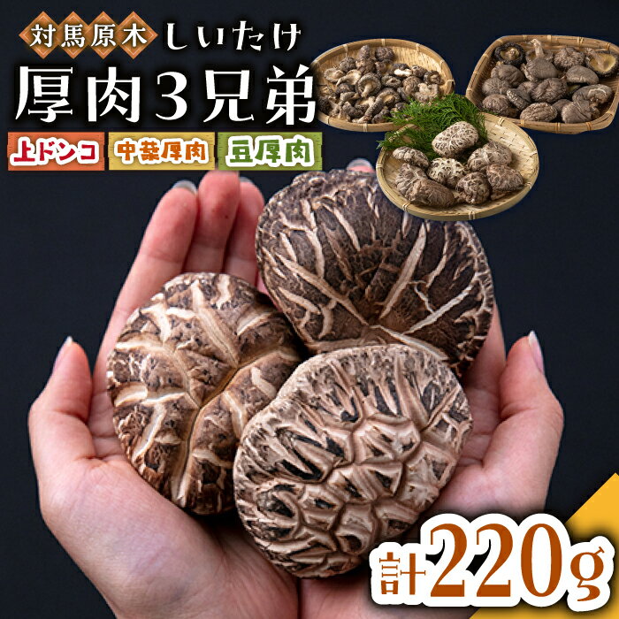 【ふるさと納税】平成28年度長崎県農林水産大臣賞生産者対馬原木しいたけ厚肉3兄弟 [WBJ001]