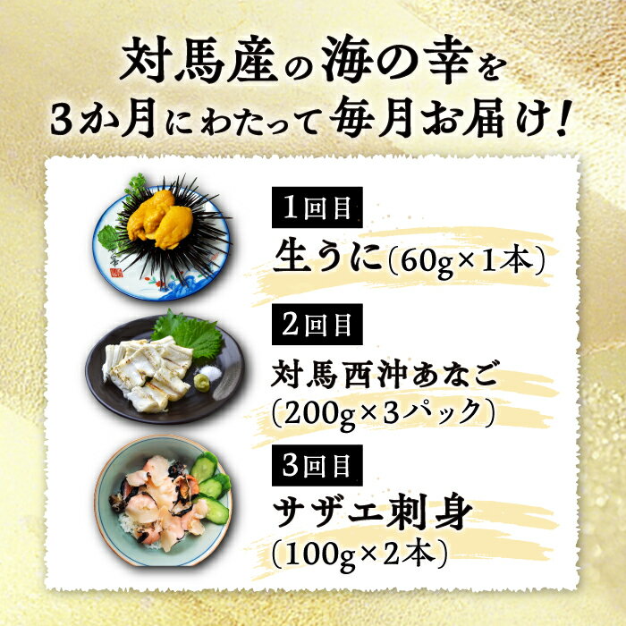 【ふるさと納税】【全3回定期便】対馬産 海の幸 定期便 《対馬市》【保家商事】 ウニ うに 穴子 アナゴ サザエ 刺身 海鮮 [WAA013]