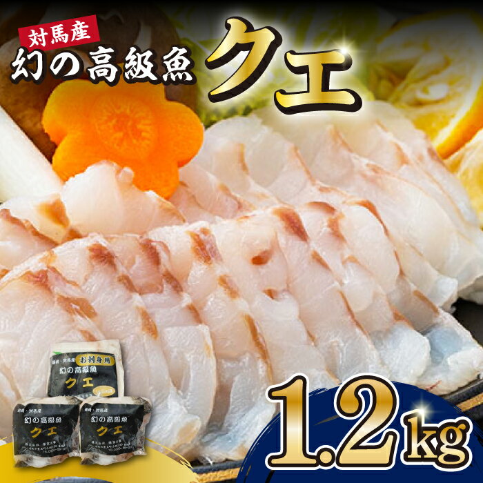 【ふるさと納税】対馬産 幻の高級魚 クエ 1.2kg《対馬市》【保家商事】 刺身 鍋 クエ鍋 海鮮 鮮魚 しゃぶしゃぶ[WAA014]