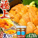 【ふるさと納税】対馬産 生うに 60g×2本《対馬市》【保家商事】 うに ウニ 雲丹 生ウニ 海鮮 海産物 [WAA017] その1