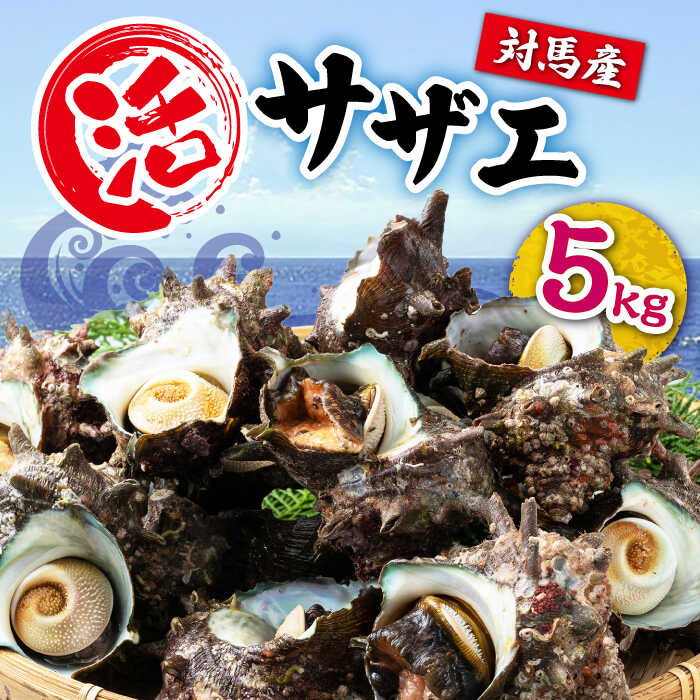 対馬産 活サザエ 5kg[対馬市][保家商事]さざえ サザエ 刺し身 海鮮 魚貝 貝 海産物[WAA033] 34000 34000円