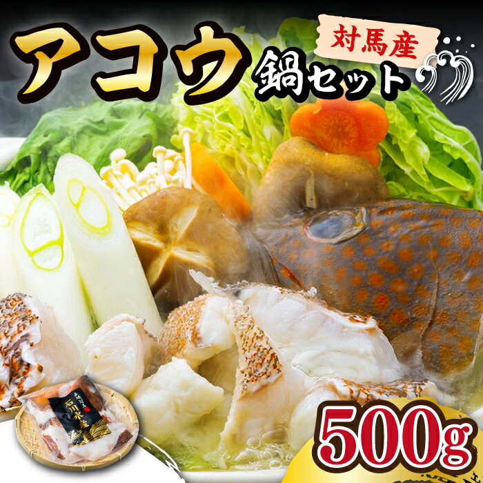 【ふるさと納税】【対馬産】アコウ（キジハタ）鍋セット500g