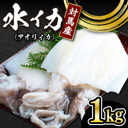 【ふるさと納税】【対馬産】水イカ(アオリイカ)生冷凍1kg [WAB006]