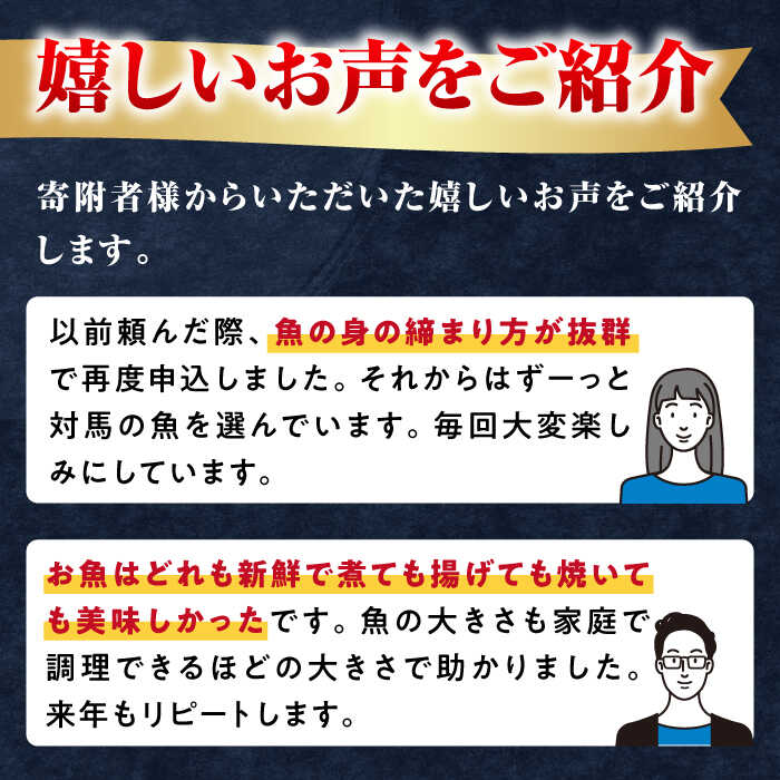 【ふるさと納税】対馬 活〆 島 魚 セット 1.5kg《対馬市》【対馬地域商社】九州 長崎 鮮魚 ボックス [WAC005]