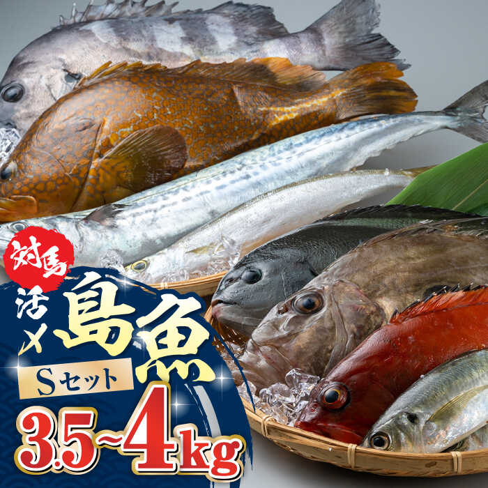 【ふるさと納税】対馬 活〆 島魚セット 3.5～4kg《対馬