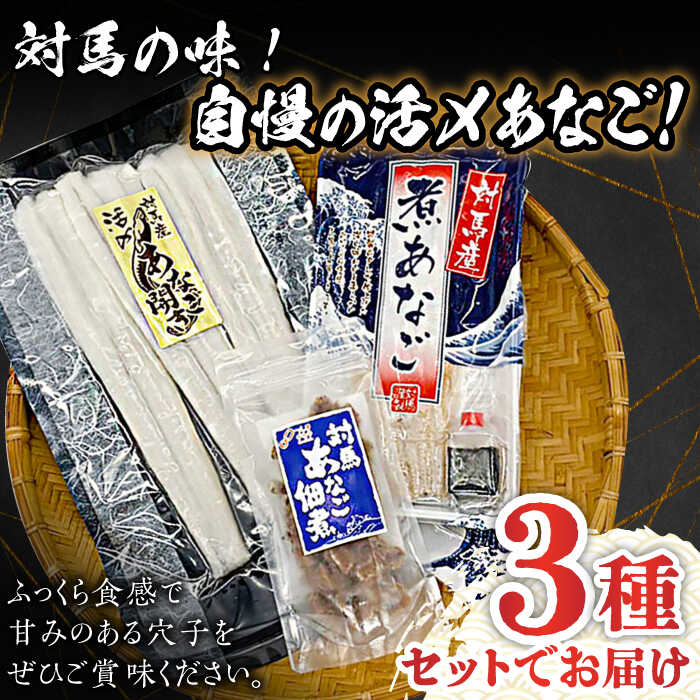 【ふるさと納税】【全3回定期便】対馬 産 活〆 あなご セット《対馬市》【対馬地域商社】九州 長崎 煮あなご 佃煮 アナゴ[WAC018]