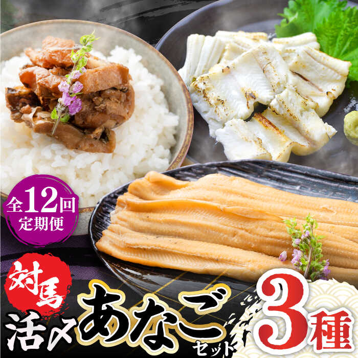 20位! 口コミ数「0件」評価「0」【全12回定期便】対馬 産 活〆 あなご セット《対馬市》【対馬地域商社】九州 長崎 煮あなご 佃煮 アナゴ[WAC020]