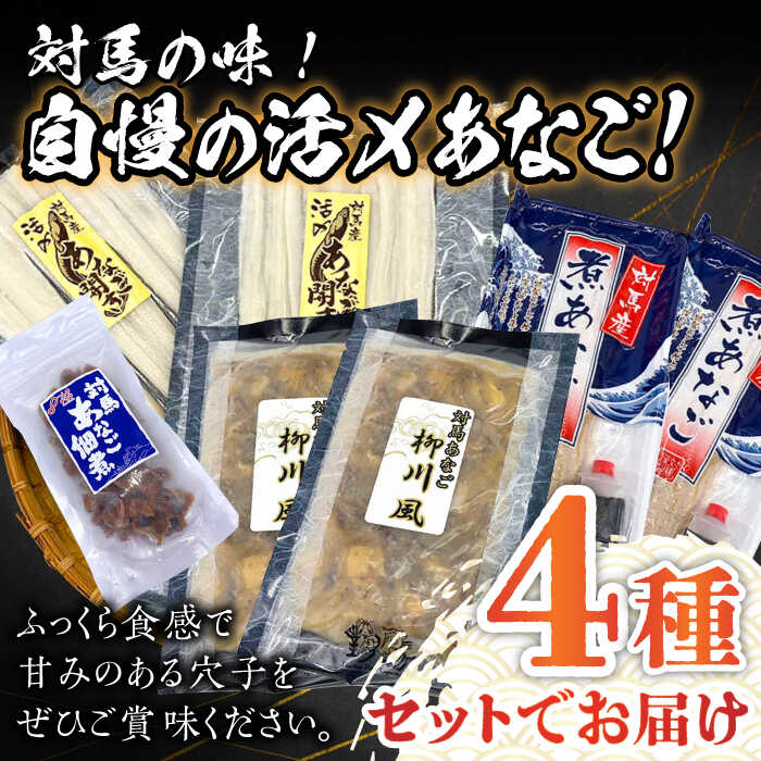 【ふるさと納税】【全6回定期便】対馬産 あなご 贅沢 セット 《対馬市》【対馬地域商社】九州 長崎 煮あなご 佃煮 アナゴ[WAC022]