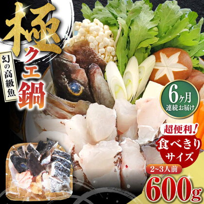 【全6回定期便】対馬 産 クエ 鍋 セット 600g (2～3人前)《対馬市》【対馬地域商社】九州 長崎 海鮮[WAC034]