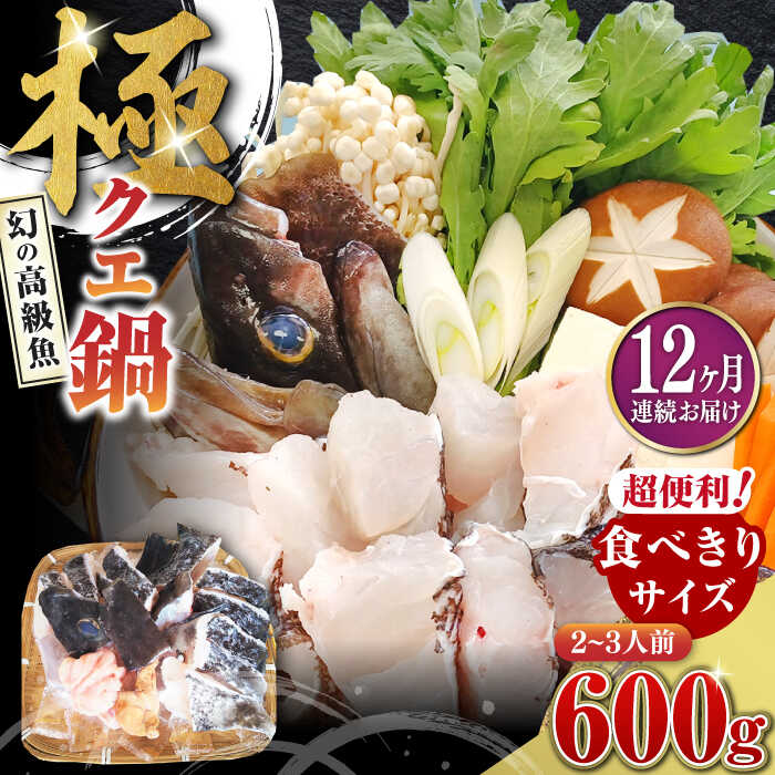 【ふるさと納税】【全12回定期便】対馬 産 クエ 鍋 セット 600g (2～3人前)《対馬市》【対馬地域商社】九州 長崎 海鮮[WAC035]