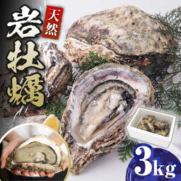 【ふるさと納税】天然 岩ガキ 3kg《対馬市》【海風商事】国産 九州 長崎 牡蠣 [WAD001]