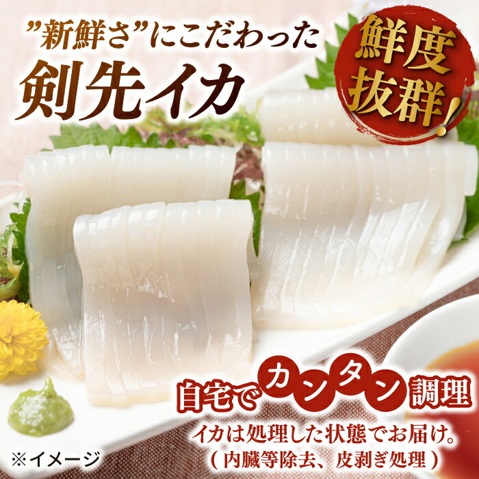 【ふるさと納税】剣先イカ 5本 セット【丸徳水産】《対馬市》鮮度抜群 新鮮 ケンサキイカ シロイカ 下処理済 刺身 BBQ 惣菜 天ぷら フライ 海鮮 [WAE011]