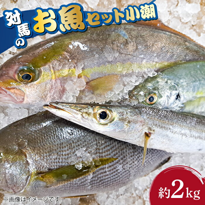 【ふるさと納税】対馬 のお 魚 (小潮) 2kg 《対馬市》...