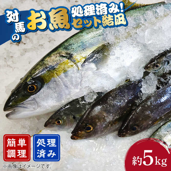 【ふるさと納税】対馬 のお 魚 （結