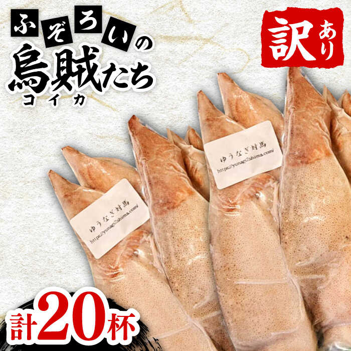 4位! 口コミ数「6件」評価「3.67」訳あり 不揃い ふぞろい の 烏賊(コイカ) たち 2024《対馬市》【ゆうなぎ対馬】訳アリ イカ いか 生冷凍 新鮮 簡単調理 規格外 海･･･ 