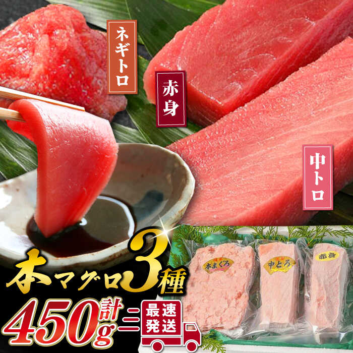 【ふるさと納税】対馬産 本マグロ 3種 計450g （ 赤身 / 中トロ / ネギトロ ）《対馬市》【対海】 マ...