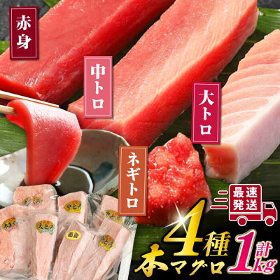 楽天ふるさと納税　【ふるさと納税】対馬産 本マグロ 4種 計1kg ( 赤身 / 中トロ / 大トロ / ネギトロ )《対馬市》【対海】 マグロ 鮪 本鮪 [WAH004]