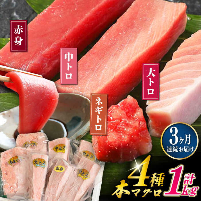 【ふるさと納税】【全3回定期便】対馬産 本マグロ 4種 計1kg ( 赤身 / 中トロ / 大トロ / ネギトロ ）《対馬市》【対海】 新鮮 マグロ 鮪 本鮪 赤身 中トロ 大トロ ネギトロ 海鮮 冷凍[WAH006]