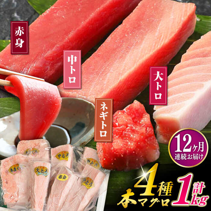 【ふるさと納税】【全12回定期便】対馬産 養殖 本マグロ 4種 （赤身×2/中トロ×2/ネギトロ×2/大トロ×1）《対馬市》【対海】 新鮮 マグロ 鮪 本鮪 赤身 中トロ 大トロ ネギトロ 海鮮 冷凍[WAH008]