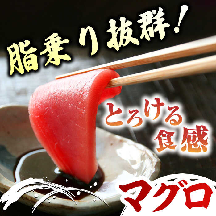 【ふるさと納税】【全3回定期便】対馬産 養殖 本マグロ 2種 & 地魚 干物 2種 セット ( 赤身 / 中トロ / 干物 )《対馬市》【対海】 新鮮 マグロ 鮪 本鮪 トロ 海鮮 冷凍 浜干し[WAH009]