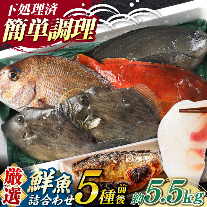 【ふるさと納税】【期間限定！】対馬産 鮮魚 詰め合わせ 5種前後 5.5kg《対馬市》【対海】新鮮 天然 ...