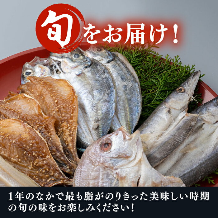 【ふるさと納税】対馬 干物 一汐干し 12枚 お魚 セット 《 対馬市 》【 うえはら株式会社 】おかず 新鮮 アジ 穴子 カマス 連子鯛 海産物 朝食 冷凍 [WAI006]