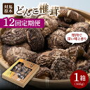 1位! 口コミ数「0件」評価「0」【全12回定期便】対馬 原木 どんこ椎茸《対馬市》【うえはら株式会社】 対馬産 肉厚 しいたけ 乾燥 きのこ 贈り物[WAI041]