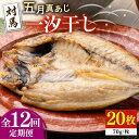 【ふるさと納税】【全12回定期便】対馬 五月 真あじ 一汐干し 20枚 《 対馬市 》【 うえはら株式会社 】新鮮 アジ 干物 海産物 朝食 冷凍[WAI062]