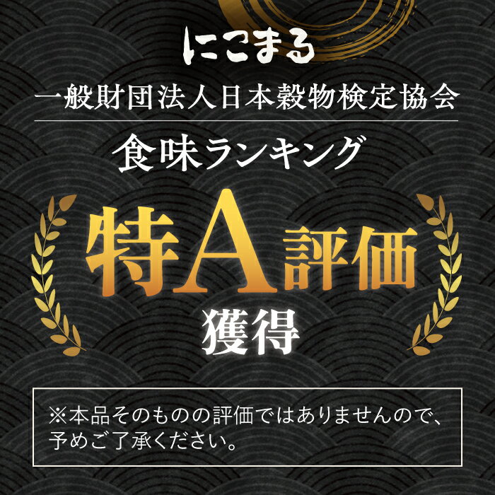 【ふるさと納税】【R6年産新米予約受付中】対馬産 にこまる 5kg×2「ほたる舞う三根川の米」 《対馬市》【永留しいたけ農園】 米 お米 弁当 白米 新米 [WAJ001]