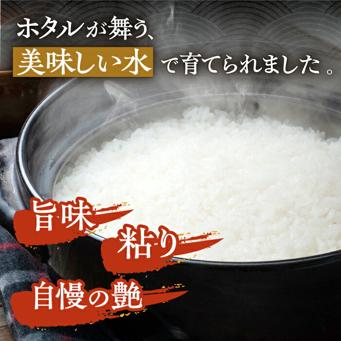 【ふるさと納税】【R6年産新米予約受付中】対馬産 ひのひかり 10kg「ほたる舞う三根川の米」 《対馬市》【永留しいたけ農園】 米 お米 弁当 白米 [WAJ003]