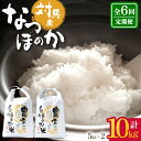 【ふるさと納税】【全6回定期便】対馬産 なつほのか 5kg×2「ほたる舞う三根川の米」《対馬市》【永留しいたけ農園】 米 お米 白米 お弁当[WAJ013]