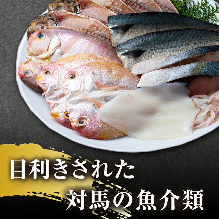 【ふるさと納税】【全12回定期便】対馬 早田流 干物 セット 13枚《対馬市》【真心水産】甘鯛 レンコ 一夜干し[WAK010]