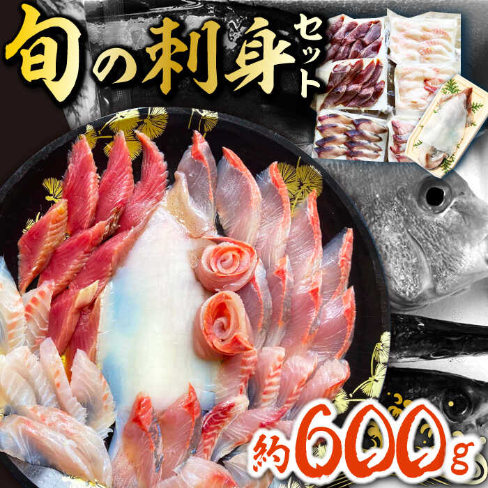 【ふるさと納税】対馬 イカ 姿造り と 刺身 の セット 約600g【真心水産】《対馬市》新鮮 海鮮 いか ...