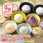 【ふるさと納税】対馬 プレミアム アイス 6種 チョイス《対馬市》【特定非営利活動法人 對馬次世代協議会（対馬コノソレ）】九州 長崎 スイーツ [WAM004]