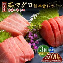 【ふるさと納税】【全3回定期便】対馬産 本マグロ 700g(赤身400g、中トロ300g) ≪対馬市≫【桐谷商店】 トロの華 対馬 新鮮 マグロ トロ 鮪 刺身...