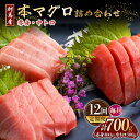 【ふるさと納税】【全12回定期便】対馬産 本マグロ 700g(赤身400g、中トロ300g) ≪対馬市≫【桐谷商店】 トロの華 対馬 新鮮 マグロ トロ 鮪 刺...