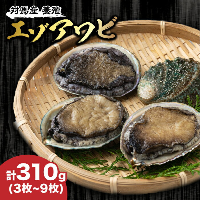 【ふるさと納税】対馬産 養殖 エゾアワビ 310g （3～9枚）（7.0～9.5cm）《対馬市》【対馬海洋牧場】 ...