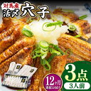 【ふるさと納税】【全12回定期便】対馬産 活〆 穴子 3点 セットC【THE・対馬株式会社】《対馬市》新鮮 あなご 刺身 天ぷら 海鮮 肉厚 簡単調理 三人前[...