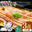 【ふるさと納税】【全6回定期便】対馬産 活〆 穴子 3点 セット D【THE・対馬株式会社】《対馬市》新鮮 あなご 刺身 天ぷら 海鮮 肉厚 簡単調理 5人前[...