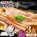 【ふるさと納税】【全12回定期便】対馬産 活〆 穴子 3点 セット D【THE・対馬株式会社】《対馬市》新鮮 あなご 刺身 天ぷら 海鮮 肉厚 簡単調理 5人前...