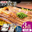 【ふるさと納税】【全3回定期便】対馬産 活〆 穴子 3点 セット E【THE・対馬株式会社】《対馬市》新鮮 あなご 刺身 天ぷら 海鮮 肉厚 簡単調理 六人前[...