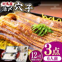 【ふるさと納税】【全12回定期便】対馬産 活〆 穴子 3点 セット E【THE・対馬株式会社】《対馬市》新鮮 あなご 刺身 天ぷら 海鮮 肉厚 簡単調理 六人前...