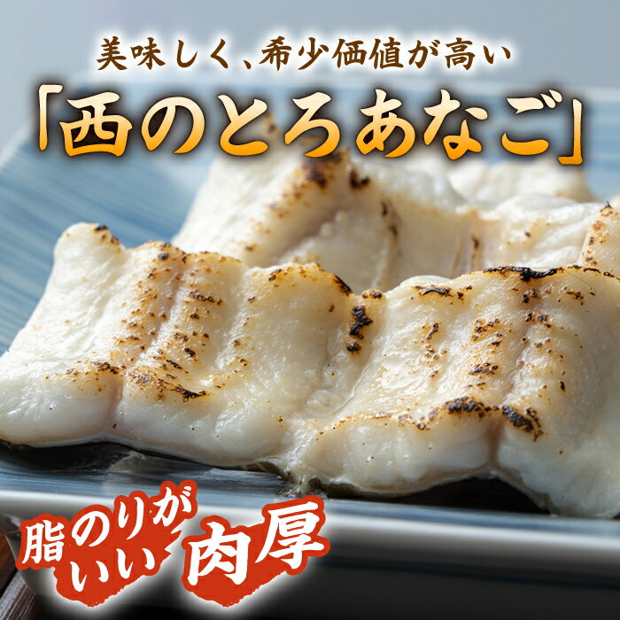 【ふるさと納税】対馬産 アナゴ 穴子 詰め合わせ 10PAC《 対馬市 》【対馬水産株式会社】対馬 新鮮 とろ あなご ふわふわ 煮穴子 白焼き 穴子重 天ぷら 冷凍 海鮮 [WAV002] 22000 22000円